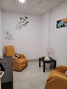 Sala acogedora con sillones y decoración de aves