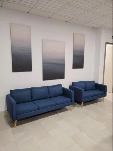 Sofás azules frente a cuadros minimalistas
